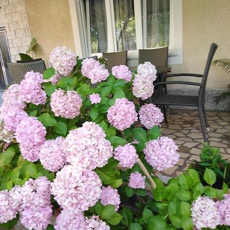 Apartman Paulina Apartman Selce Kültér fotó