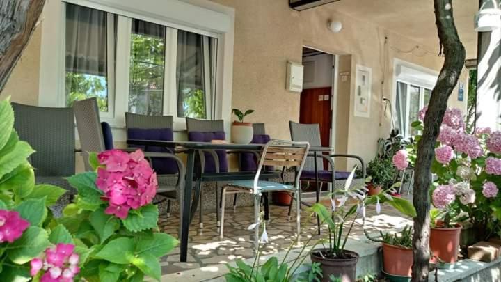 Apartman Paulina Apartman Selce Kültér fotó