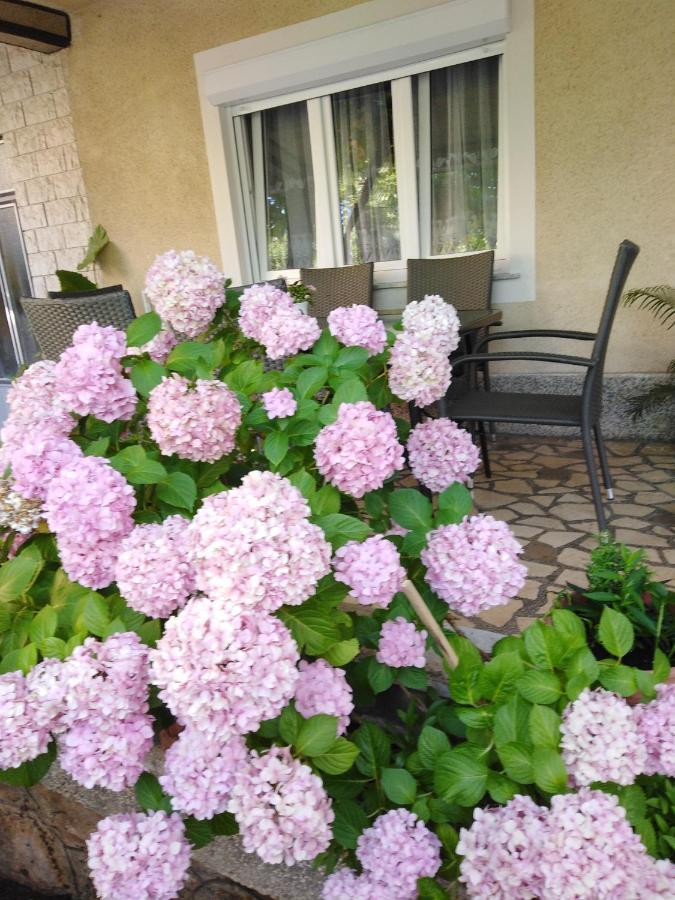 Apartman Paulina Apartman Selce Kültér fotó